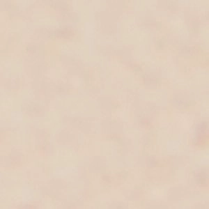 Blushh High Heel Height