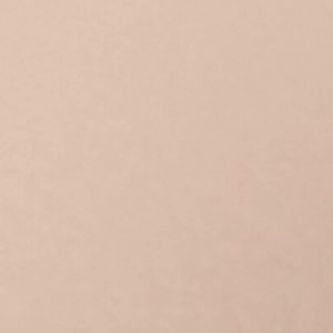 Edesssa High Heels Size