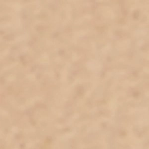 Riia High Heel Shoe Soles