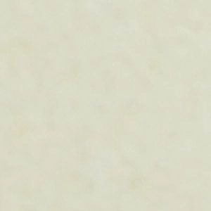 Allly High Heel Ankle Strap Pumps