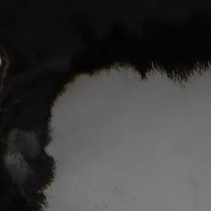 High Heel Centerpiece Tiiana