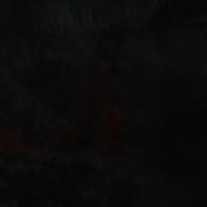 Tweens Heels Harperrr