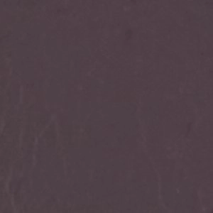 Sloanee High Heel Shoeplay