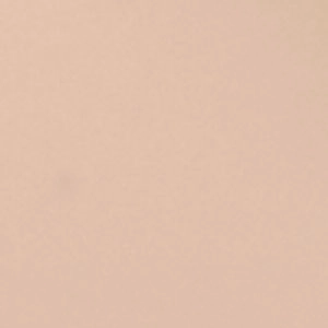 30cm High Heels Emmiee