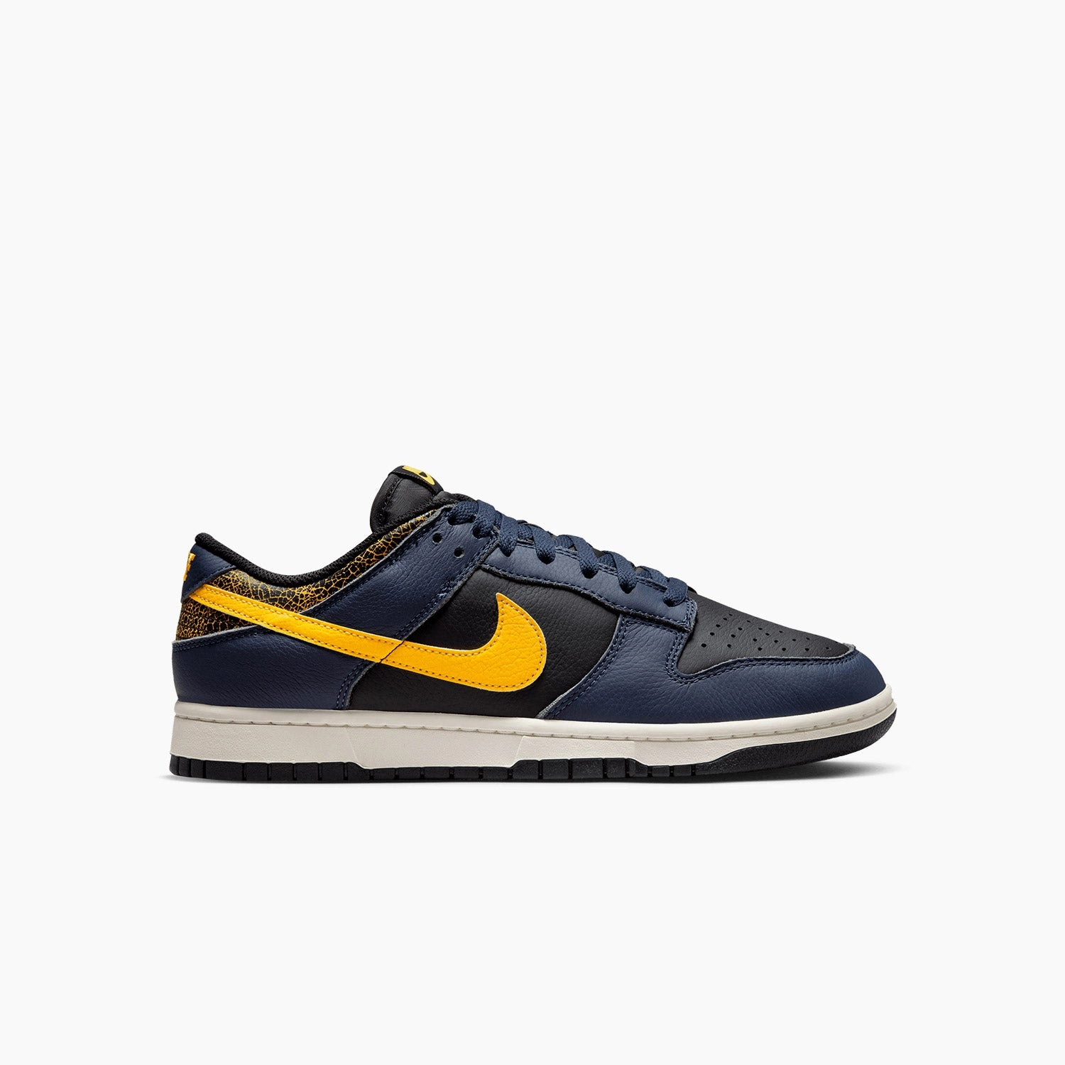 Nike Lebron X Shoes Men's Dunk Low Retro "Vintage Michigan"