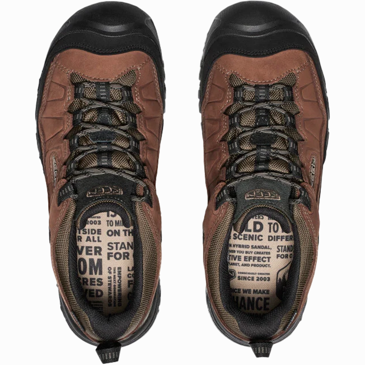 Men's Targhee IV Waterproof Hiking Boot