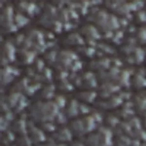 Raia Long High Heels