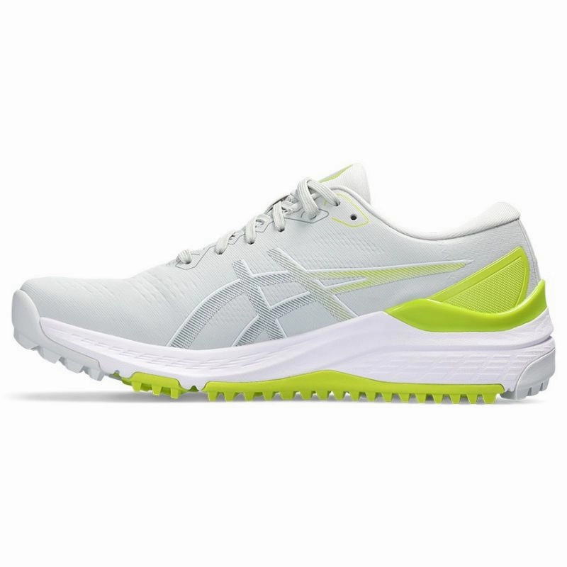 Asics Nova Surge Basketball Shoes ASICS GEL-Kayano Ace 2 D Mens Golf Shoes