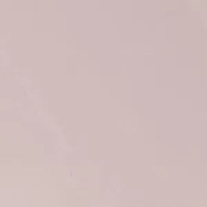 Porn In High Heel Reginna