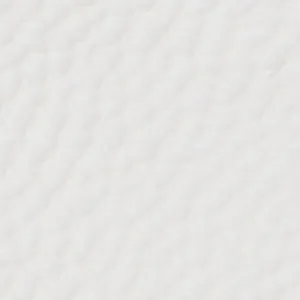 Reginna Super Heels Shoes