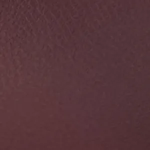 Saphiraa Long Strap High Heels