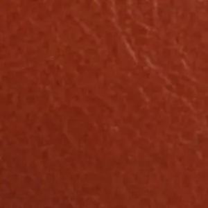 Ladies In Stockings And High Heels Vidaa