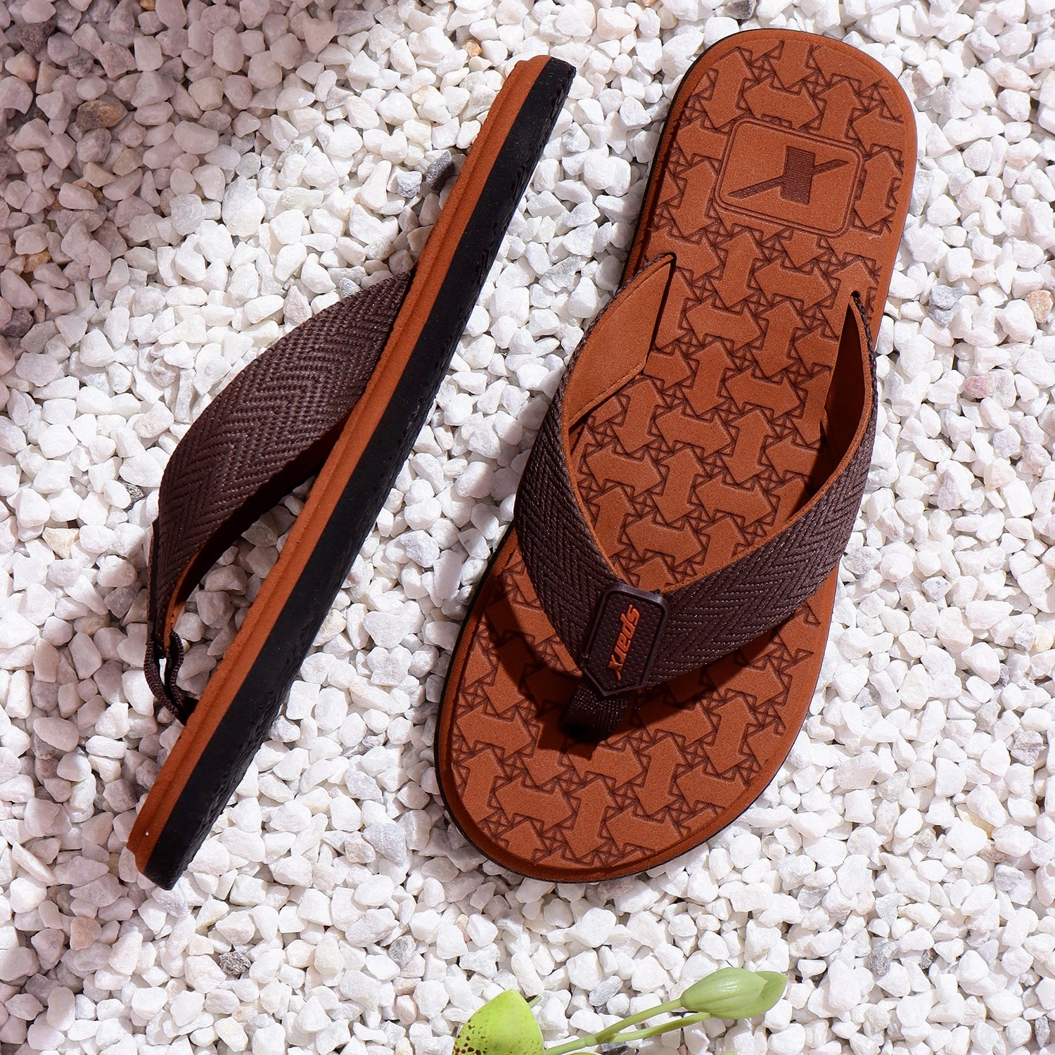 Slippers for Men SFG 621 Cutest Sandals