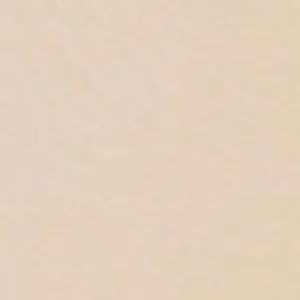 Daliaa High Heels Transparent