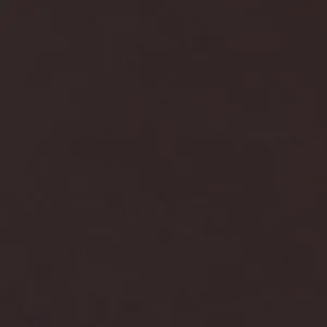 Addele High Heel Thong Shoes