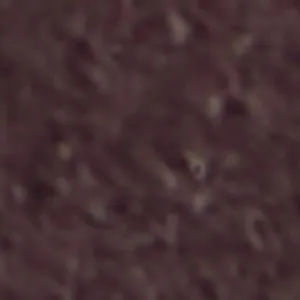 Saphiraa High Heel Pointed Shoes