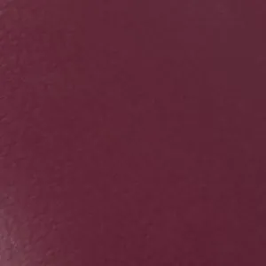 Leg Strap High Heels Era