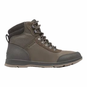 Clear Ankle Boots Men's Ankeny II Hiker Boot